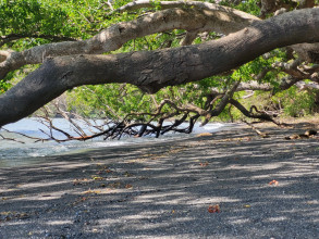 Ometepe