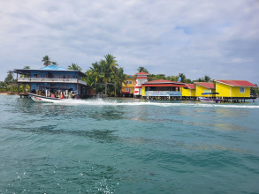Bocas del Toro