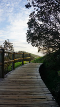 1951499